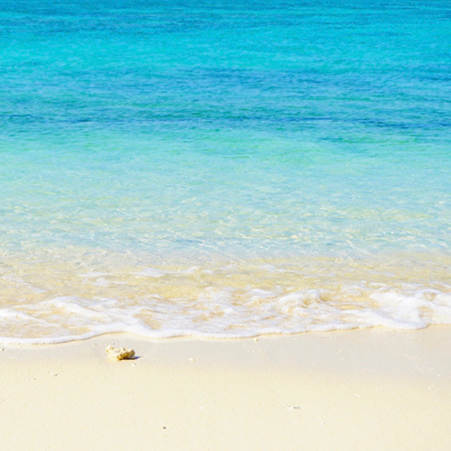 綺麗な海 × 4seas BEACH CLEAN